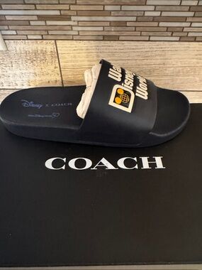 Coach Black Disney x Coach World Graphic Slide